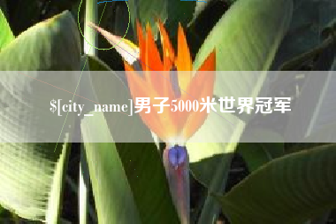 福鼎男子5000米世界冠军