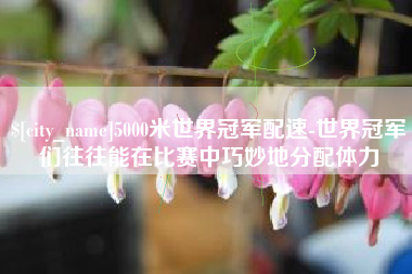 福鼎5000米世界冠军配速-世界冠军们往往能在比赛中巧妙地分配体力