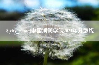 福鼎中国消防学院2024年分数线