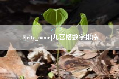 福鼎九宫格数字排序