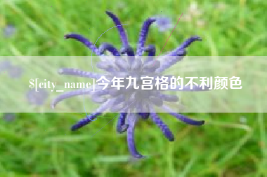 福鼎今年九宫格的不利颜色