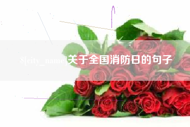 福鼎关于全国消防日的句子