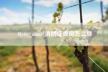 福鼎消防证查询怎么查