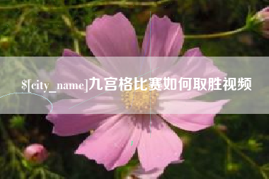 福鼎九宫格比赛如何取胜视频