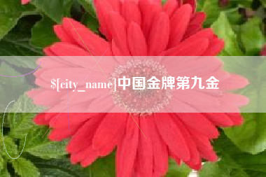 福鼎中国金牌第九金