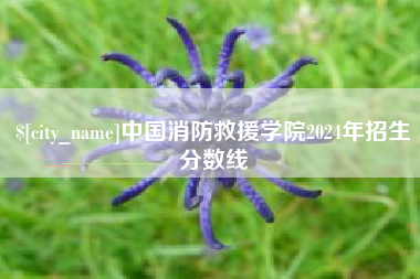 福鼎中国消防救援学院2024年招生分数线