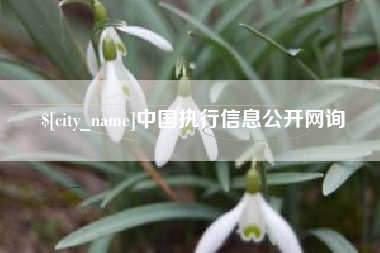 福鼎中国执行信息公开网询