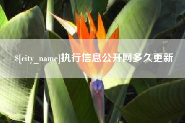 福鼎执行信息公开网多久更新