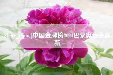 福鼎中国金牌榜2024巴黎奥运会最新
