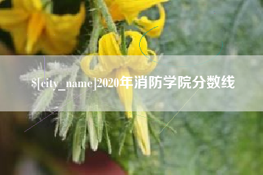 福鼎2020年消防学院分数线