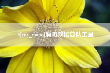 福鼎消防救援总队王星