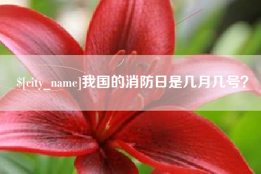 福鼎我国的消防日是几月几号？