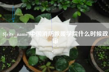 福鼎中国消防救援学院什么时候政审