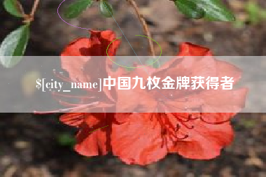 福鼎中国九枚金牌获得者