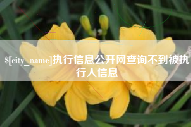 福鼎执行信息公开网查询不到被执行人信息