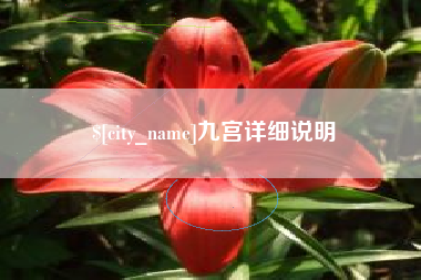 福鼎九宫详细说明