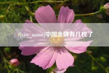 福鼎中国金牌有几枚了