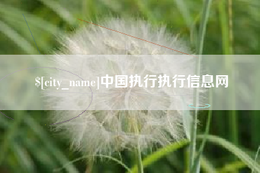 福鼎中国执行执行信息网