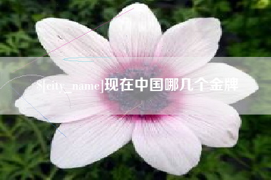 福鼎现在中国哪几个金牌