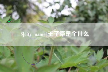 福鼎王子豪是个什么