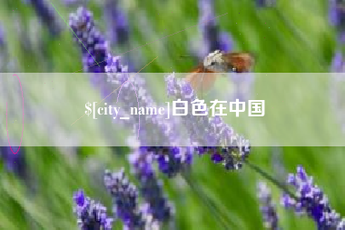 福鼎白色在中国