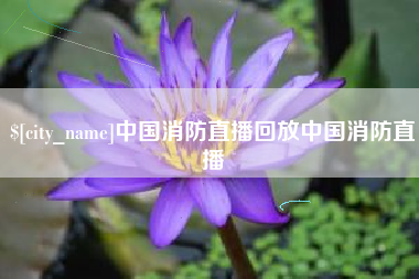 福鼎中国消防直播回放中国消防直播