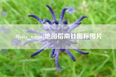 福鼎地图指南针图标图片