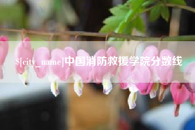 福鼎中国消防救援学院分数线