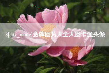 福鼎金牌图片大全大图卡通头像