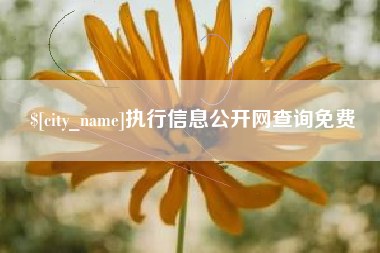 福鼎执行信息公开网查询免费