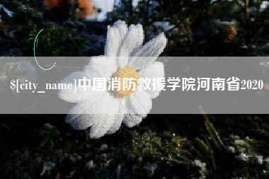 福鼎中国消防救援学院河南省2020